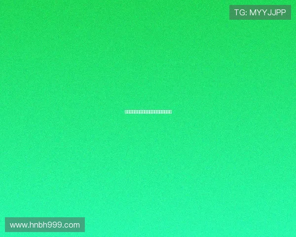 幸福的港湾:不止是停泊,更是启航的起点